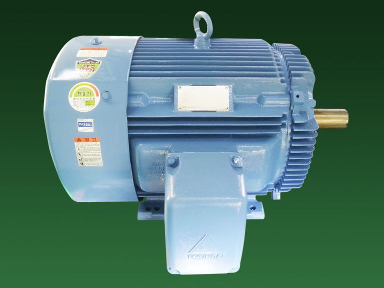 55kW 75HP 현대저압삼상유도전동기
