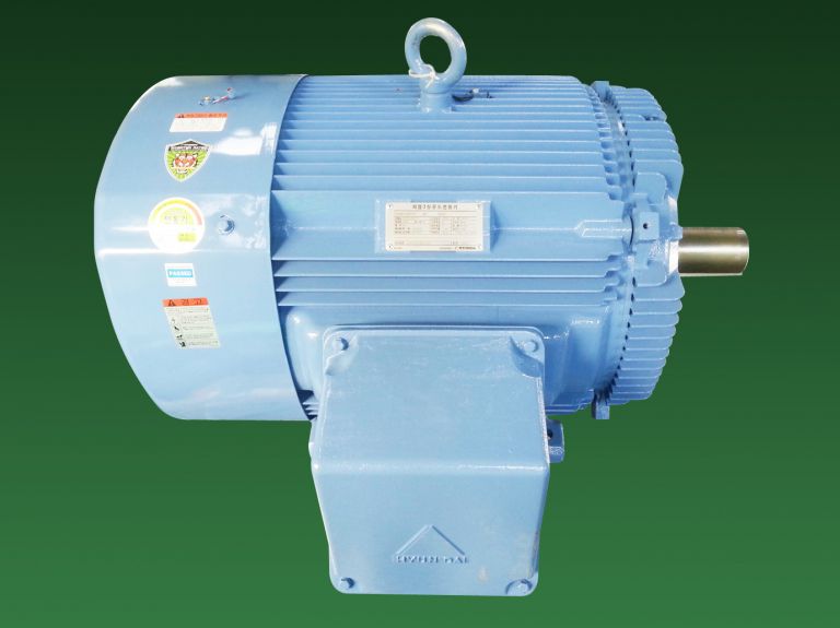 75kW 100HP 현대저압삼상유도전동기